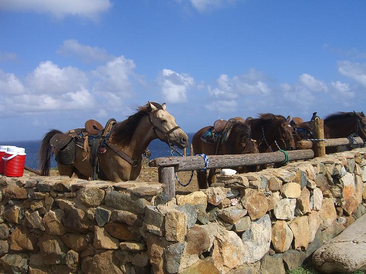 Aruba - January 2008 111.JPG